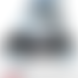 Online Equine Digestion and Physiology - Part 4: The Large Intestine