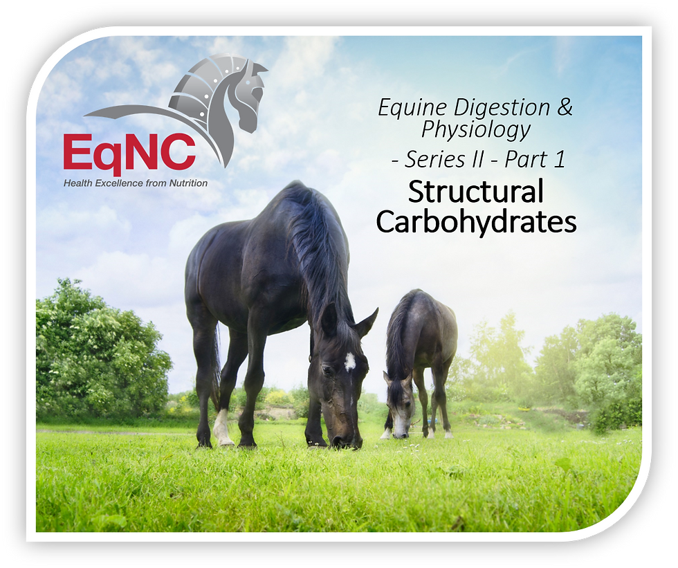 EqNC Digestion and Physiology Series 2: Structural Carbohydrates