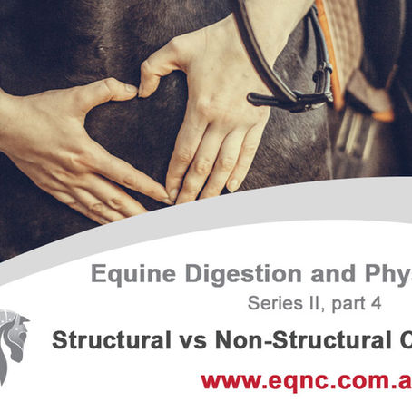 Equine Digestion and Physiology: Structural vs Non-Structural Carbohydrates