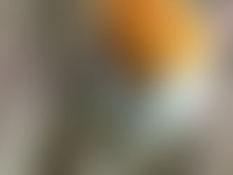 What are Covenants, Conditions & Restrictions?