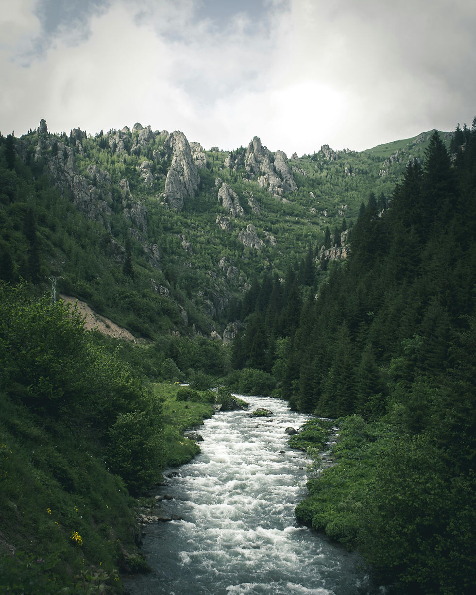 Rapidly flowing stream