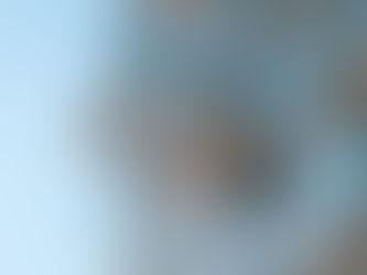 What is a Homeowners' Association?