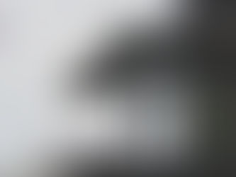 What is an Arm's Length Transaction?