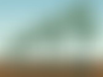 Four green plants in stages of growth with visible roots in brown soil. Blue gradient sky background, symbolizing development.