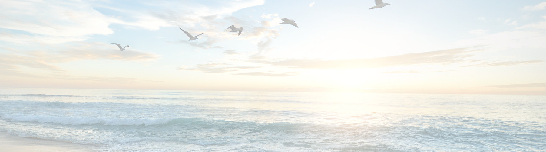 beach-1852945_edited.jpg