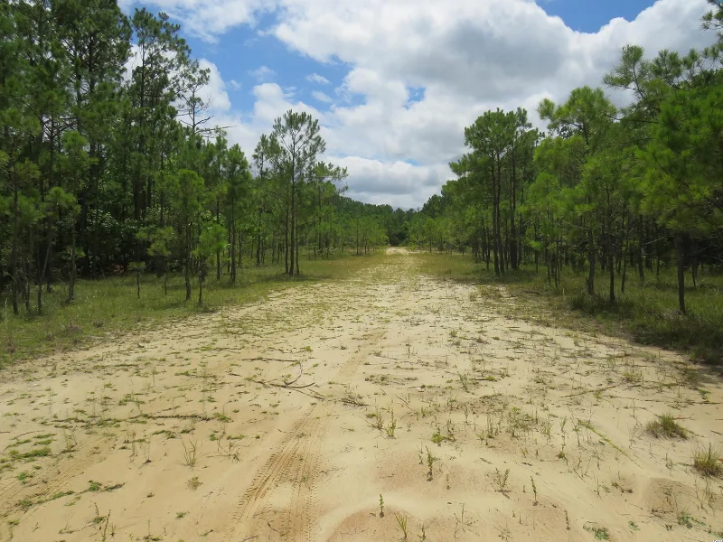 Lot Size:Â 18.0000 Type:Â Residential Lots & Land Sub Type:Â Acreage Listing Status:Â For Sale Listing Date:Â 06-29-2022 Listing #:Â 2214617 Street Address:Â T. B. D. Eva Rd. County/Area:Â Horry County Subdivision/Neighborhood:Â Not Within A Subdivision Features Utilities:Â Cable Available, Electricity Available, Natural Gas Available, Phone Available, Water Available, Sew