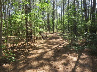 $170,000 Acreage: 2.32 acres This 2.32 acre tract is close to everything, less than 4 minutes to grocery stores, great restaurants and the Little River Waterfront, not to mention seven minutes from the Atlantic blue. Great location, and perfect for an estate home with horses. Owner is firm on price but will consider owner financing with half down. Call today to schedule your showing.