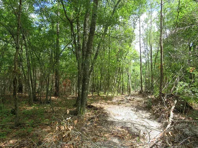 Lot Size:Â 18.0000 Type:Â Residential Lots & Land Sub Type:Â Acreage Listing Status:Â For Sale Listing Date:Â 06-29-2022 Listing #:Â 2214617 Street Address:Â T. B. D. Eva Rd. County/Area:Â Horry County Subdivision/Neighborhood:Â Not Within A Subdivision Features Utilities:Â Cable Available, Electricity Available, Natural Gas Available, Phone Available, Water Available, Sew