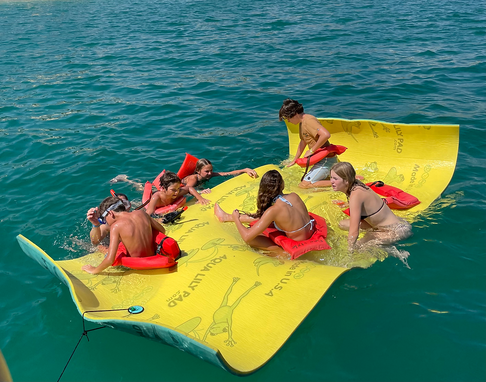 Thumbnail: Floating Lily Pad