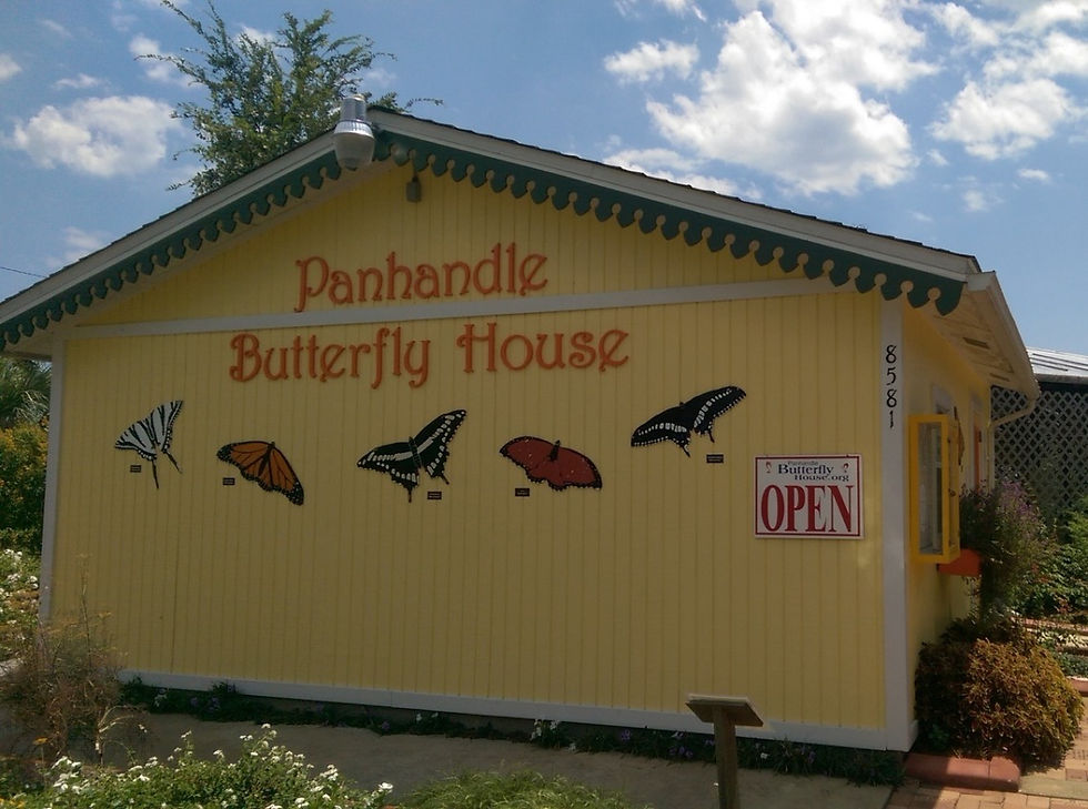 PANHANDLE BUTTERFLY HOUSE