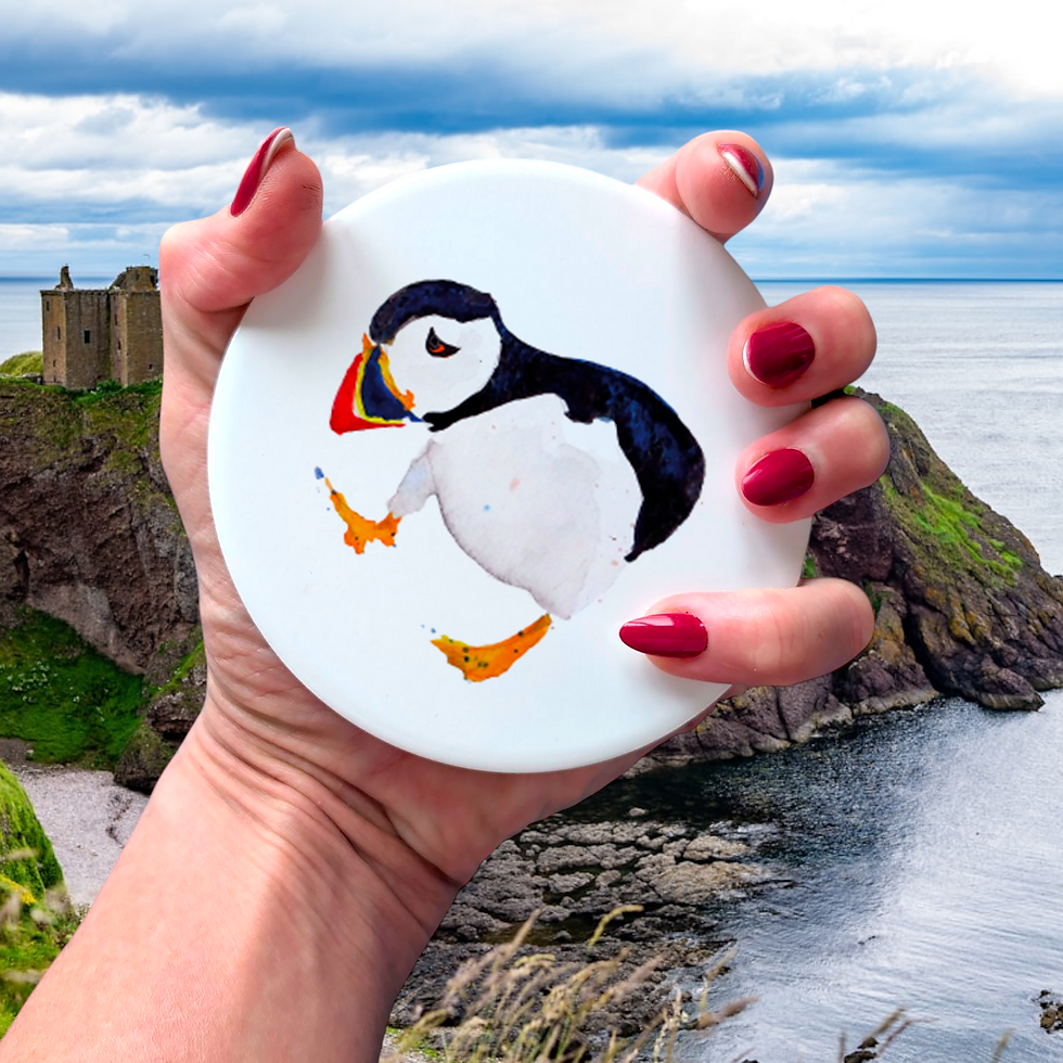 Puffin bird Scottish art ceramic coaster