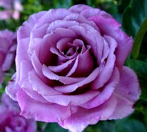 9-