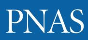 New article on PNAS!