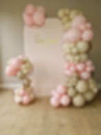 SOPHISTICATED BALLOONS AND BABY SHOWER 