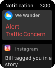 Apple Watch 44mm - 58.png
