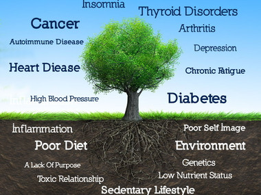 What Is Functional Medicine: Our Approach