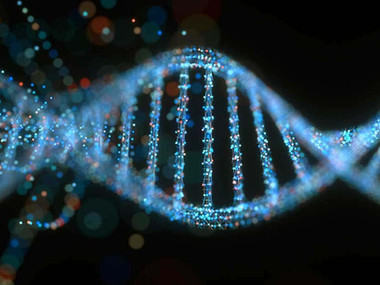 Your Genes Aren't Your Destiny!
