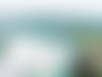         The Destination Niagara Strategy