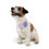 Thumbnail: Pet Bandana Collar