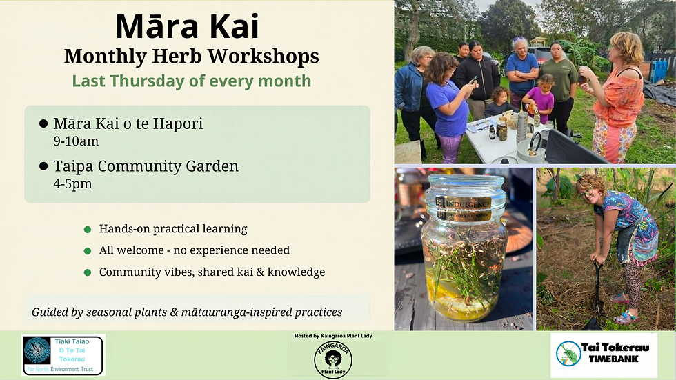 Monthly herb workshops