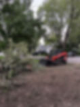 tree trimmers minneapolis
