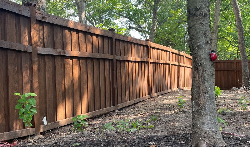 fence staining near me