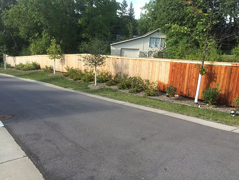 fence staining