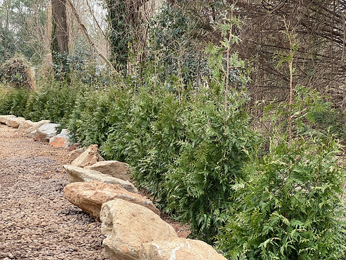 3 side yard 1.png