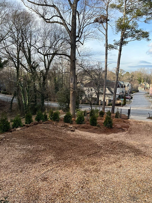 Front yard 2.jpg