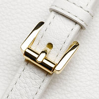 bag buckle