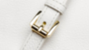 bag buckle