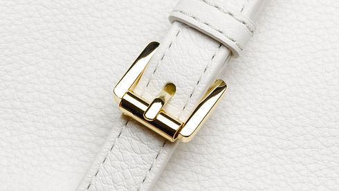 bag buckle
