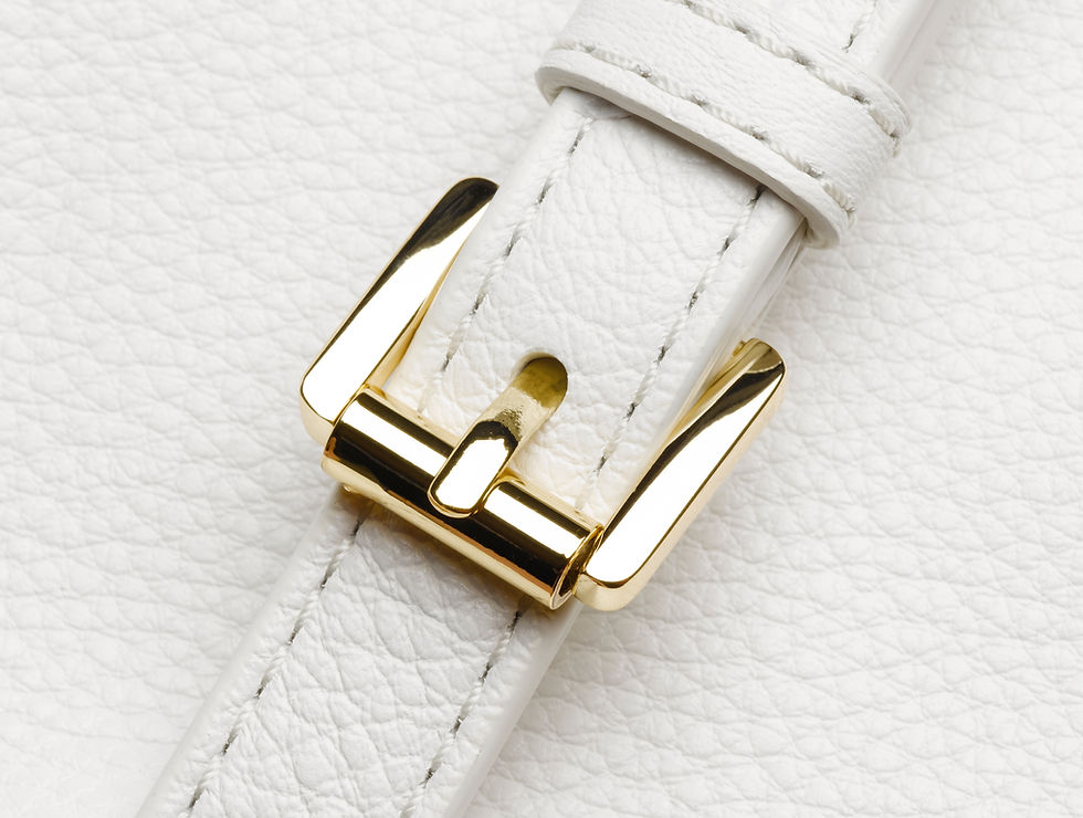 bag buckle