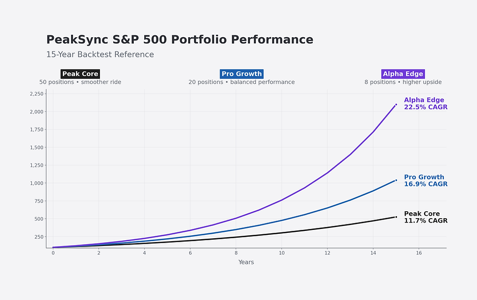 peaksync_3_portfolio_chart_wix_safe_large_fonts_buffered (1).png