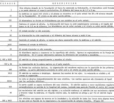 Tabla 8. Descripción de los 22 estadios del desarrollo embrionario del huevo de la carpas chinas