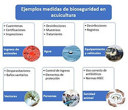 medidas-bioseguridad-acuicultura.jpg