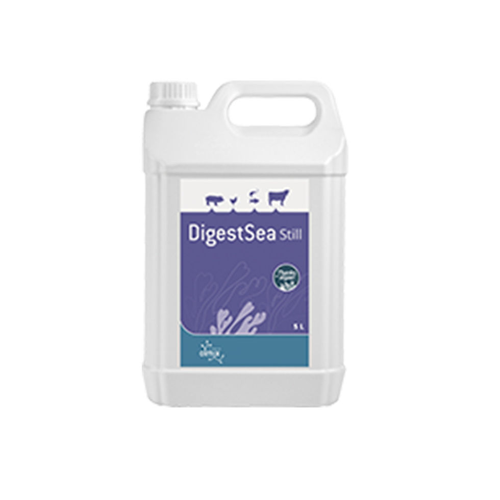 Digest Sea Mejorador De Metabolismo Lipídico Olmix Para Peces Y Camarones