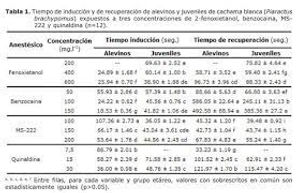 download (5).jpeg