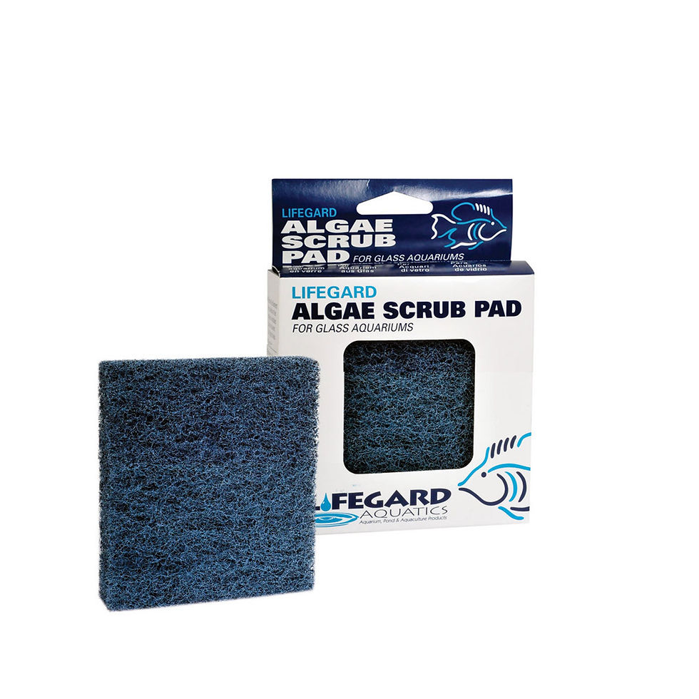 Almohadilla Mediana Removedora De Algas Para Acuarios De Vidrio Lifegard