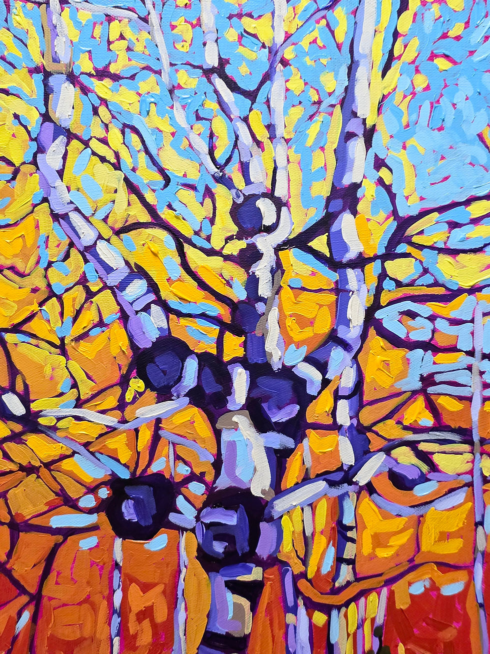 Thumbnail: The Knotted Aspen