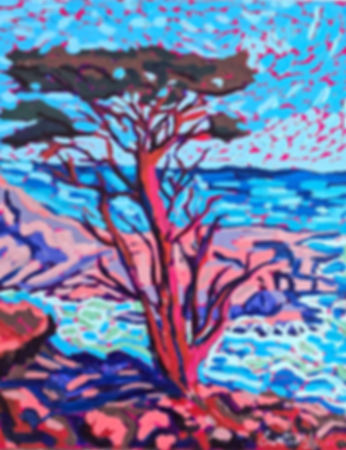 Cypress on the rocks