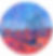 Thumbnail: Ocotillo Grace