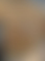 Cooking exotic organic mushrooms and making carbonara