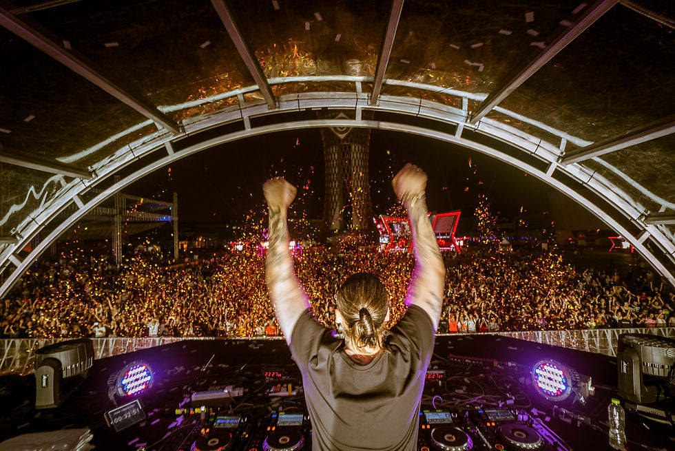 artist + crowd