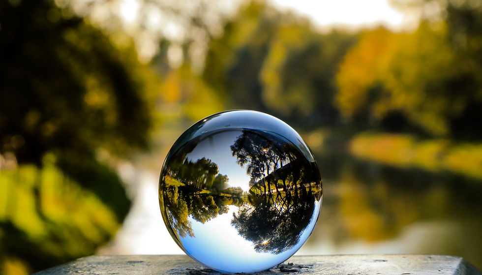 Glass%20ball%20with%20nature_edited.jpg