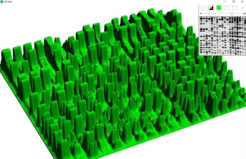 Thumbnail: 3D view of gels
