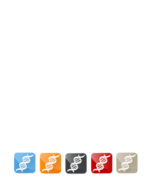 Thumbnail: Gif of Features of Gel Documentation