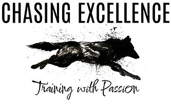 Chasing Excellence Logo.jpg