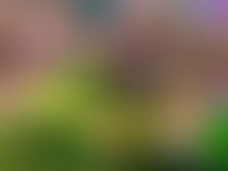 How to Host a Stress-Free Kids’ Party: Expert Kids’ Birthday Party Tips for Parents