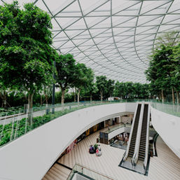 Planters in Urban Landscaping